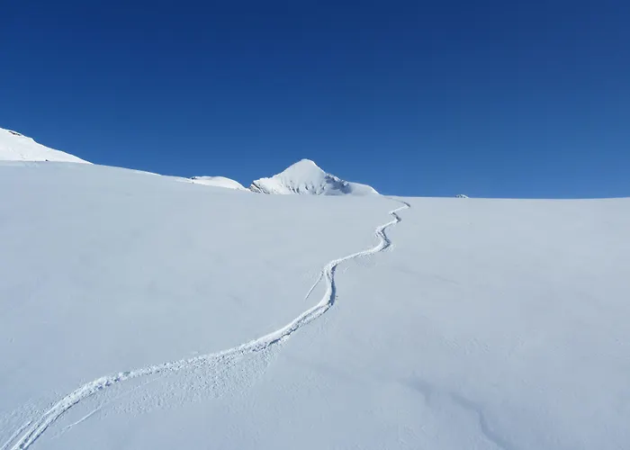 Alpenhof
